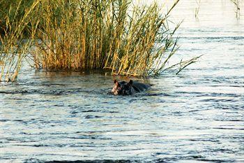 Divava Okavango Resort And Spa Bagani Luaran gambar